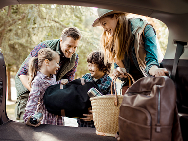 Family Trip 772x579.png